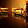 gun auction